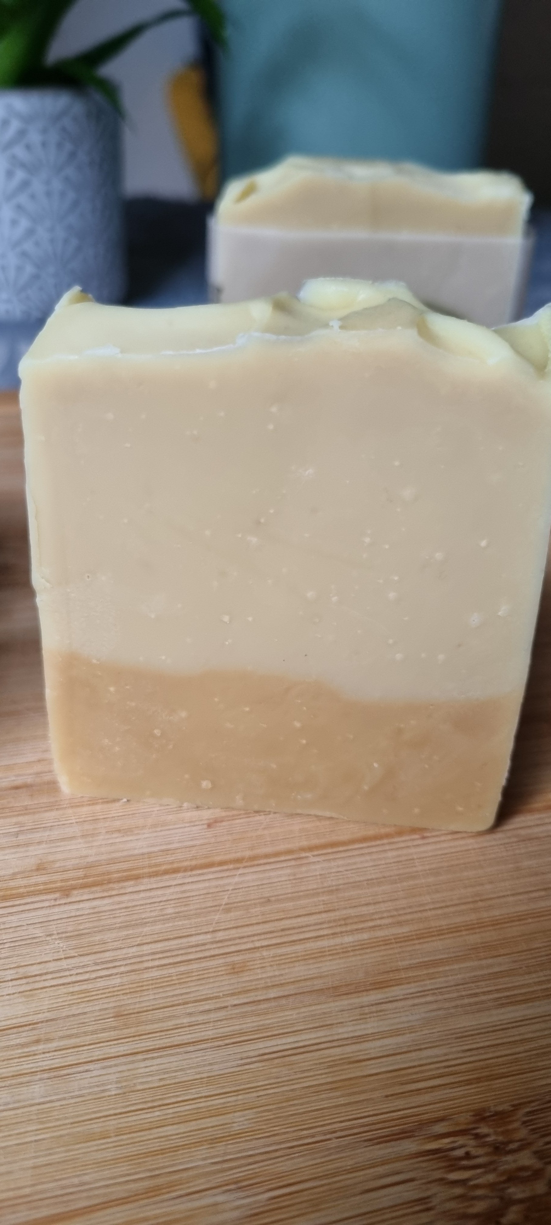 Mango Coconut & St. Clements Handmade Natural Soap